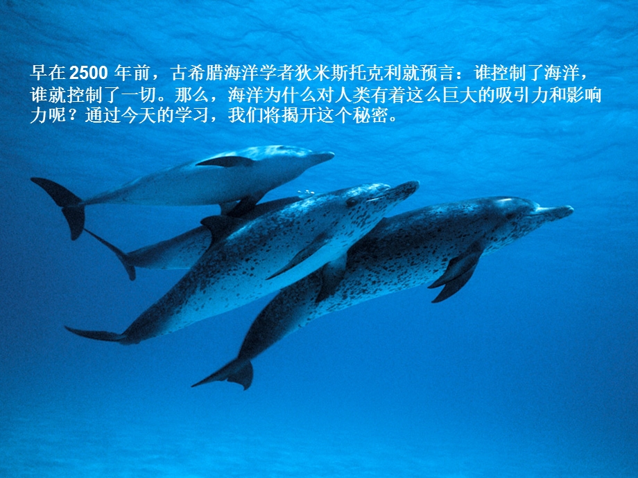 海洋与生命优秀整理.ppt_第1页