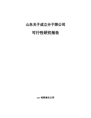 山东关于成立分子筛公司可行性研究报告.docx