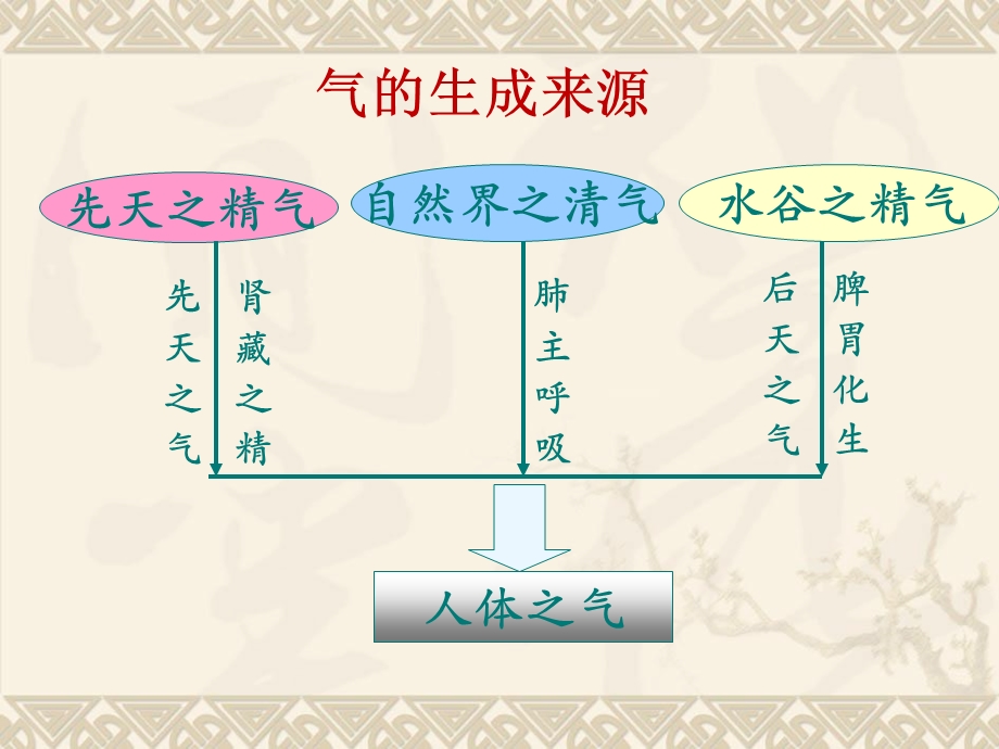 气血养生与皮肤健康.ppt_第3页