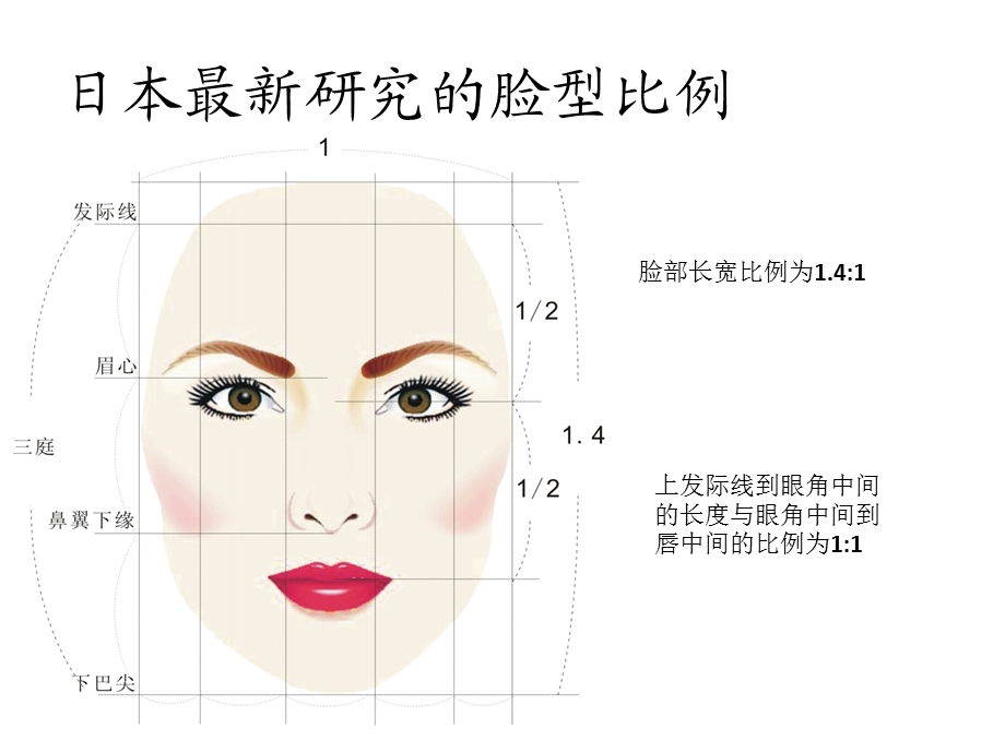 标准脸型的修饰与.ppt_第3页