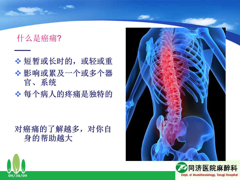 癌痛治疗科普讲座.ppt_第2页