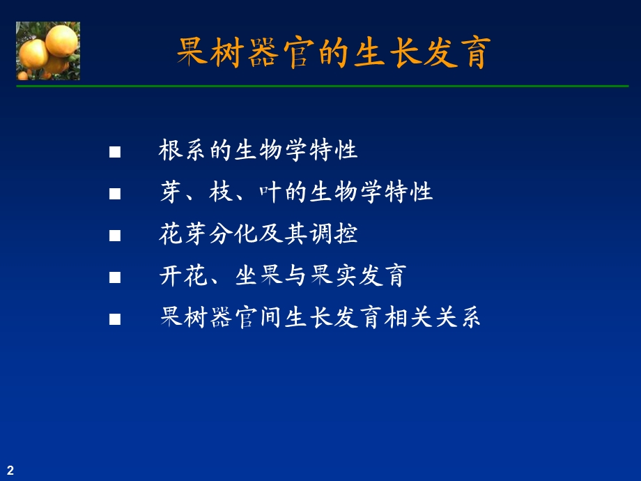 果树器官的生长发育.ppt_第2页