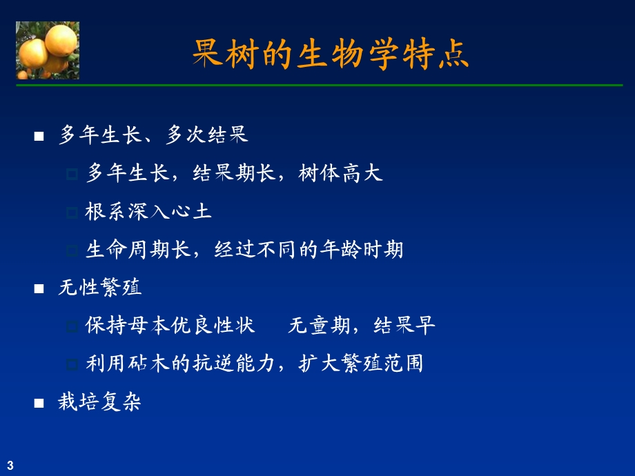 果树器官的生长发育.ppt_第3页