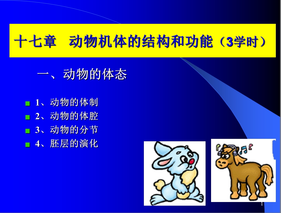 动物机体的结构和功能.ppt_第1页