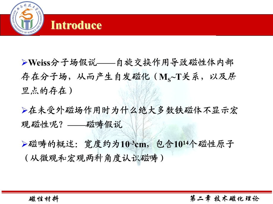 磁性材料第6章技术磁化理论-磁性材料.ppt_第2页