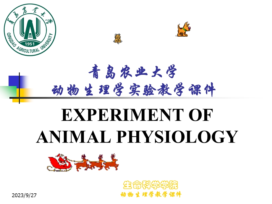 动物生理学实验教学课件.ppt_第1页