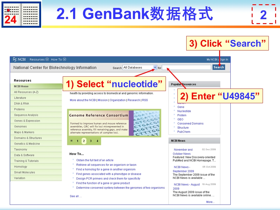 核酸序列相似性分析.ppt_第2页