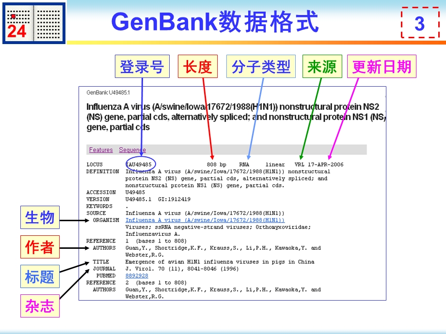 核酸序列相似性分析.ppt_第3页