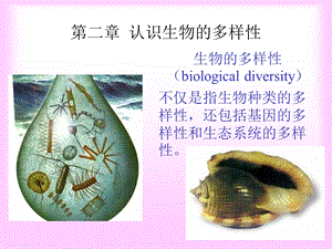 生物认识生物的多样.ppt