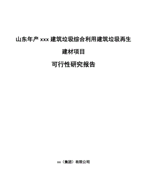 山东年产xxx建筑垃圾综合利用建筑垃圾再生建材项目可行性研究报告.docx