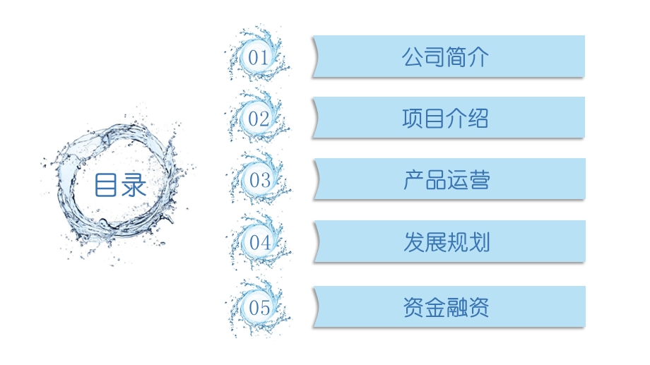 电商途虎养车商业计划书.ppt_第2页