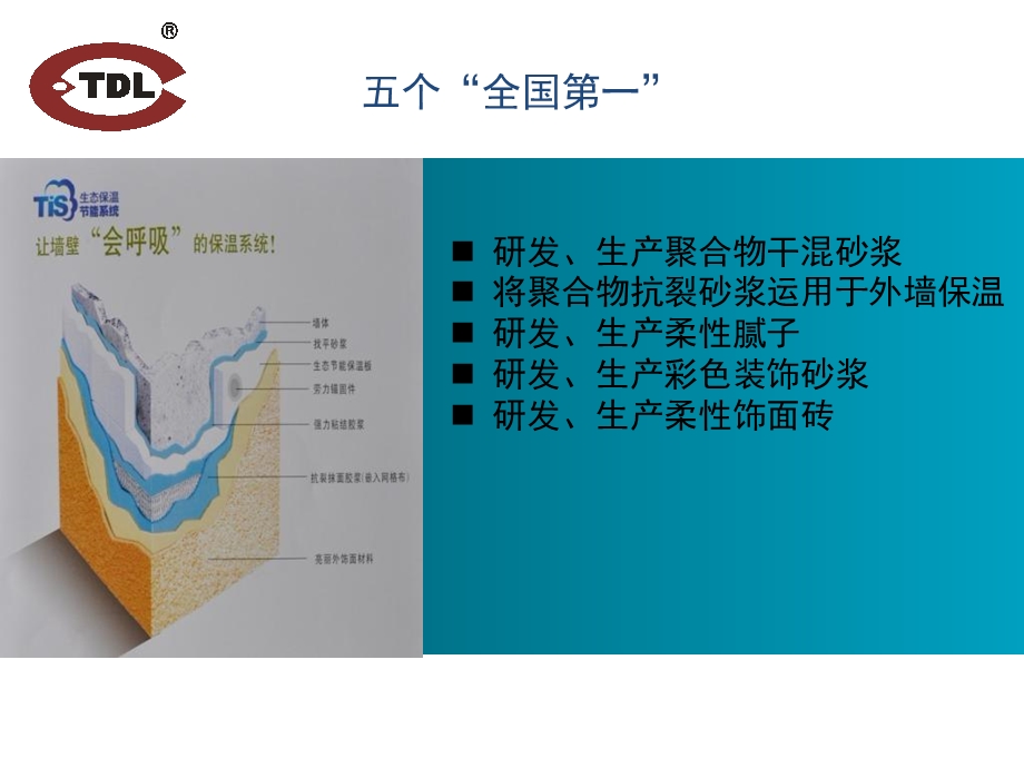 彩色装饰砂浆重点.ppt_第2页