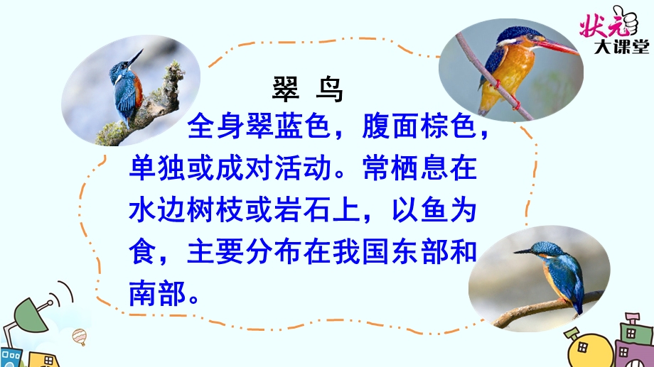 搭船的鸟(公开课自用).ppt_第2页