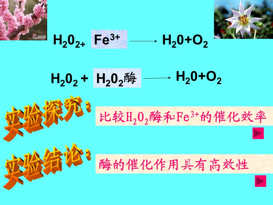 比赛课酶的活性.ppt_第2页