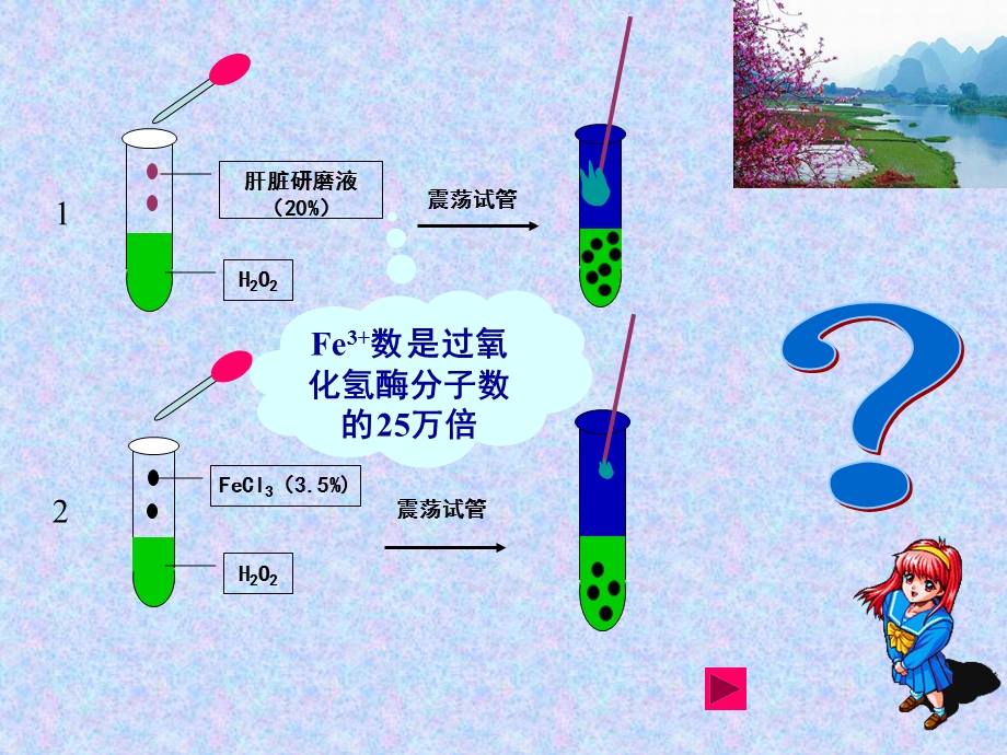 比赛课酶的活性.ppt_第3页