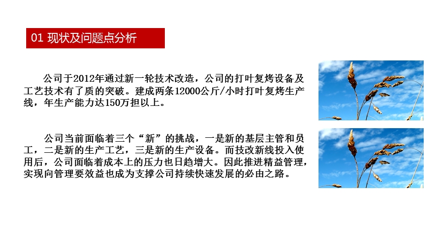 建立精益管理体系.ppt_第3页