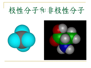 极性分子和非极.ppt