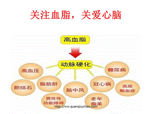 关注高血脂高血脂 ppt课件.ppt