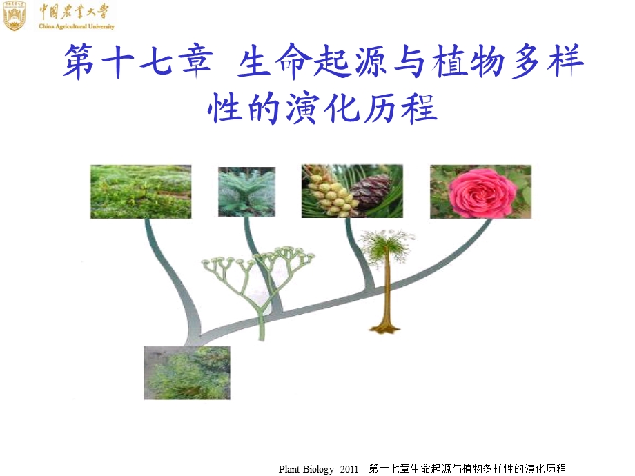 生命起源与植物多样性的演化历程.ppt_第1页