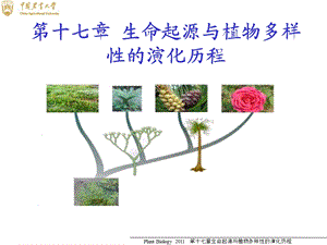 生命起源与植物多样性的演化历程.ppt