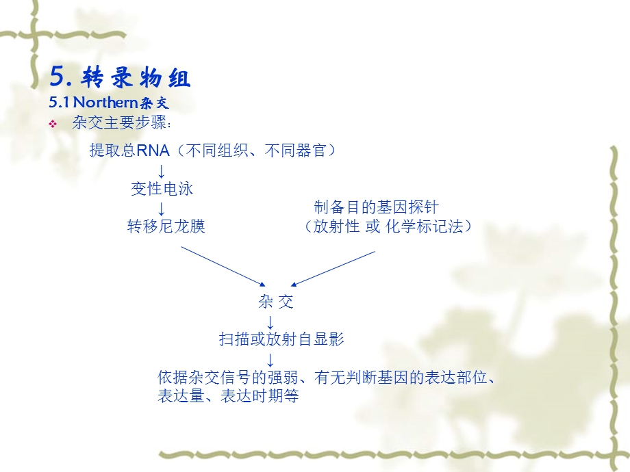 基因组与蛋白质组.ppt_第3页