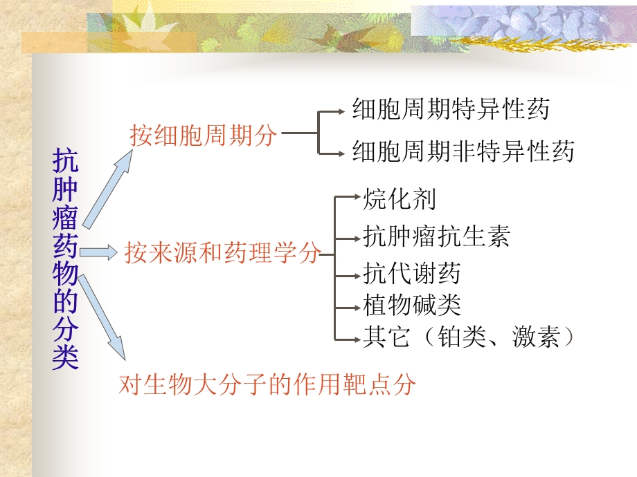 常用化学药物及其毒副作用的防治.ppt_第3页