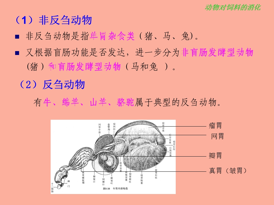 畜禽营养与饲料.ppt_第3页