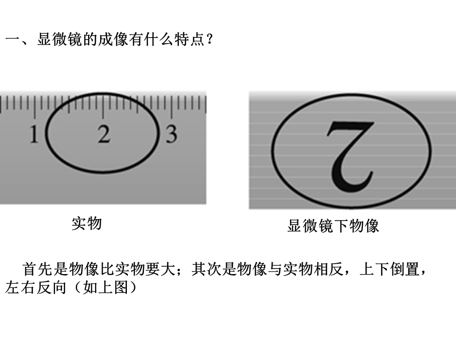 2第一章第一节练习使用显微镜.ppt_第3页