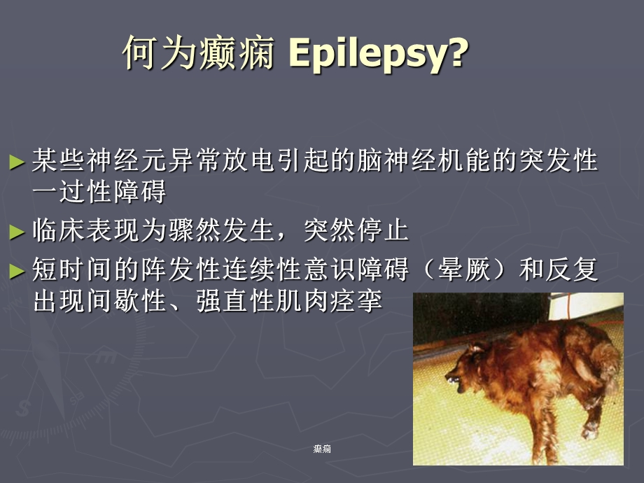 犬猫癫痫及其控制及治疗.ppt_第2页