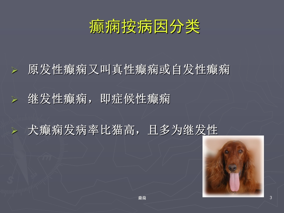 犬猫癫痫及其控制及治疗.ppt_第3页