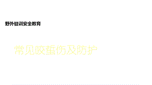 常见咬蛰伤防护.ppt