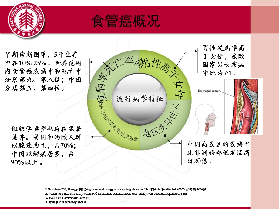 分子靶向治疗在食管癌中十年的进步.ppt_第2页