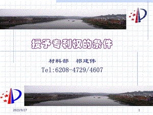 授予专利权的条件-祁建伟.ppt