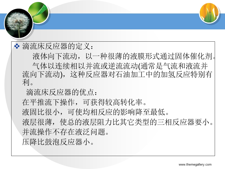 气液固三相滴流床反应器.ppt_第2页