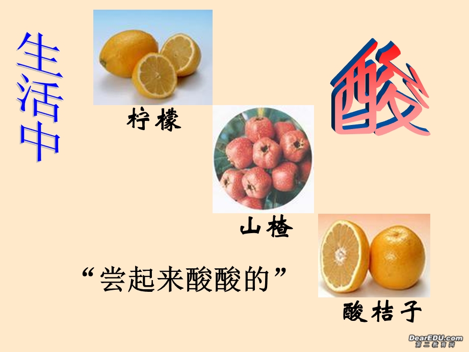 常见的酸和碱课件(上课用)-.ppt_第2页