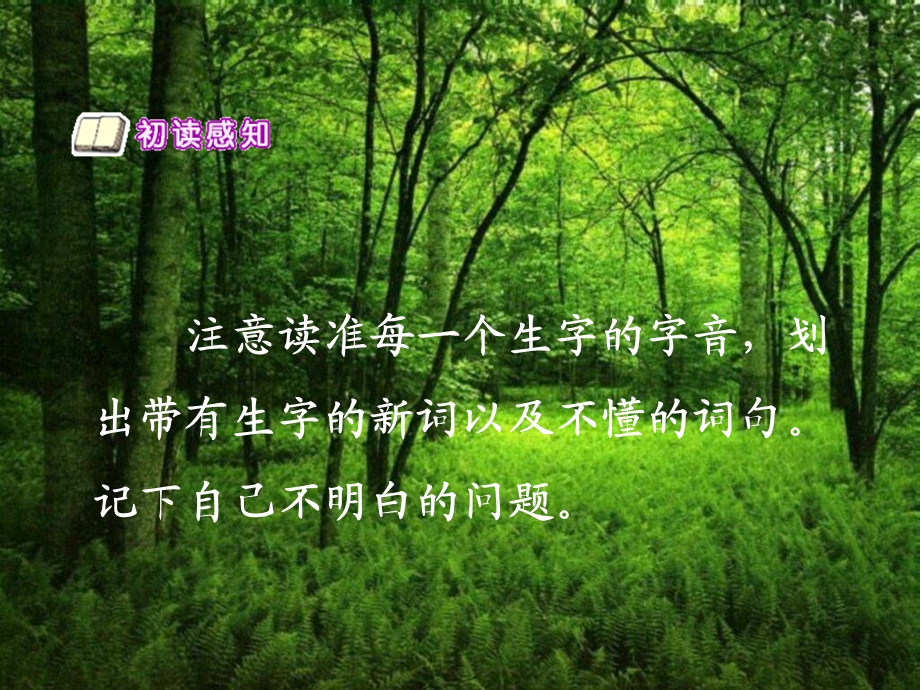 31《回声》课件.ppt_第2页