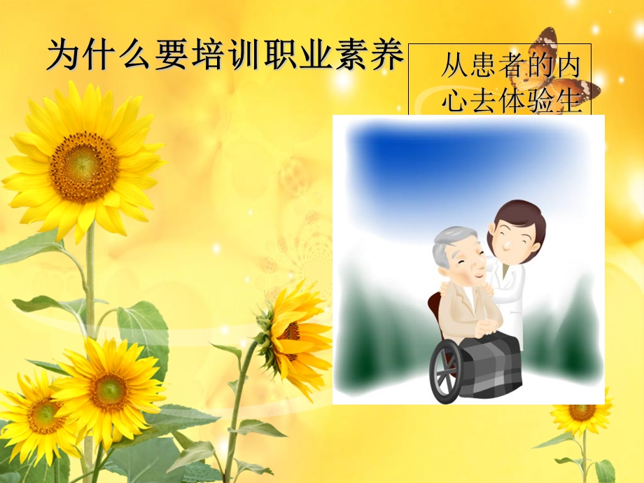 护士职业素养培训.ppt_第3页