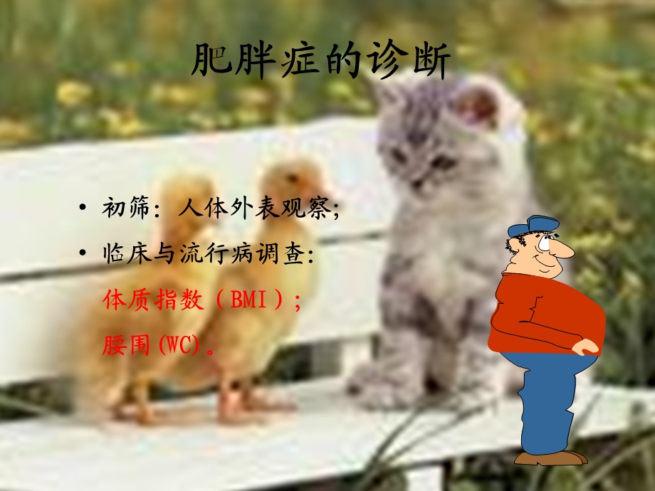 成人肥胖防治指南.ppt_第3页