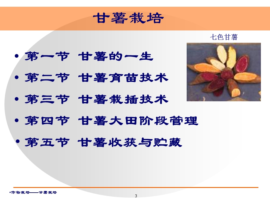 甘薯(红薯)生产技术.ppt_第3页