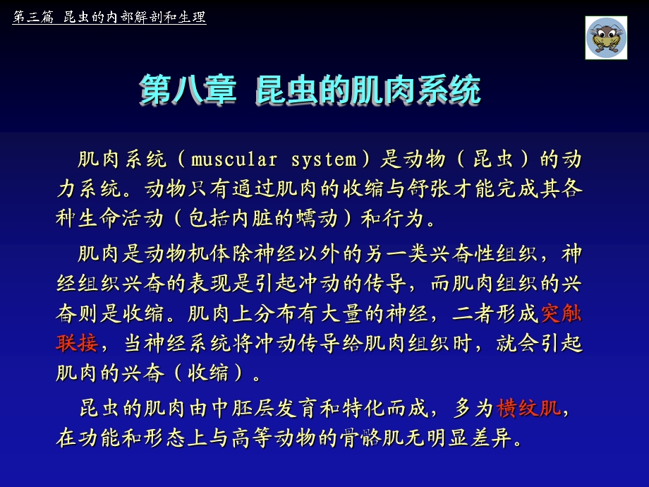 第八章 昆虫的肌肉系统.ppt_第1页