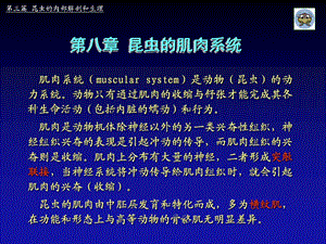 第八章 昆虫的肌肉系统.ppt