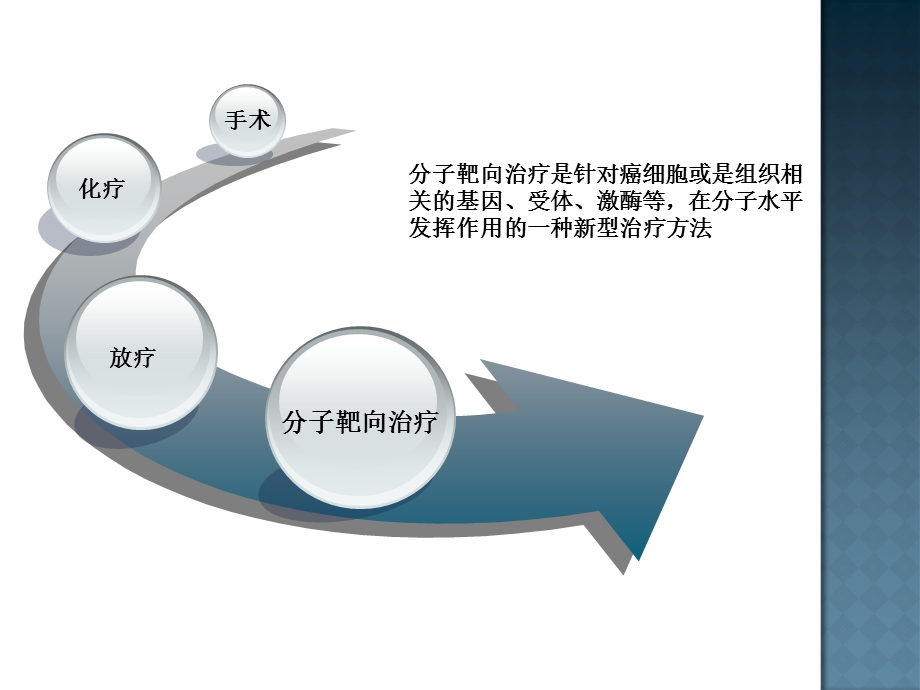 分子靶向药物副反应的诊断和处理.ppt_第2页