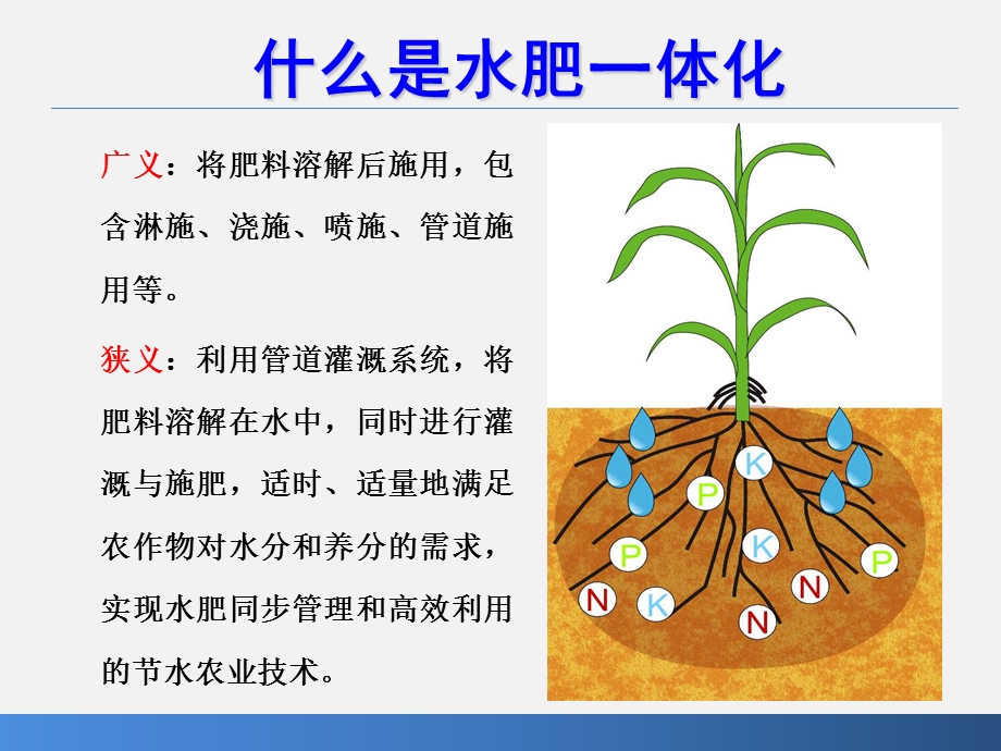 水肥一体化技术(稿).ppt_第2页