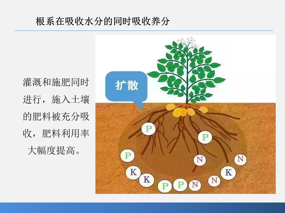 水肥一体化技术(稿).ppt_第3页