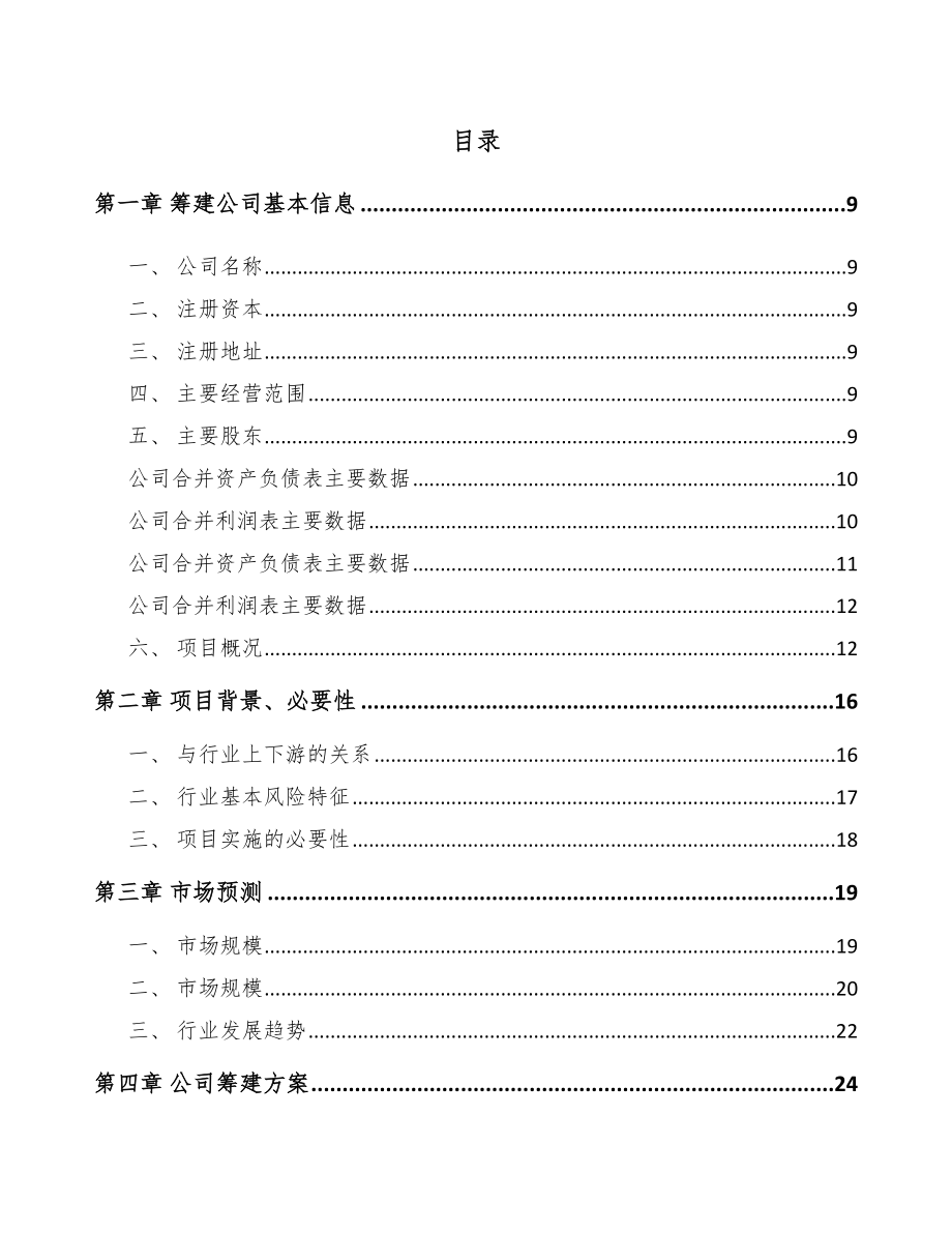 山东关于成立吸塑制品公司可行性研究报告.docx_第2页