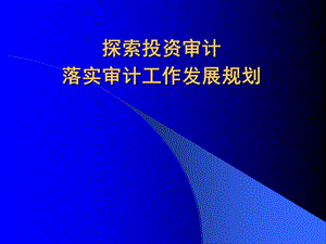 探索投资审计落实审计工作发展规划.ppt