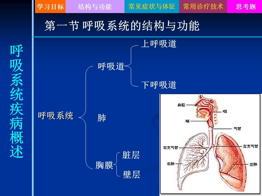 成人护理呼吸系统疾病病人的护理概述.ppt_第3页