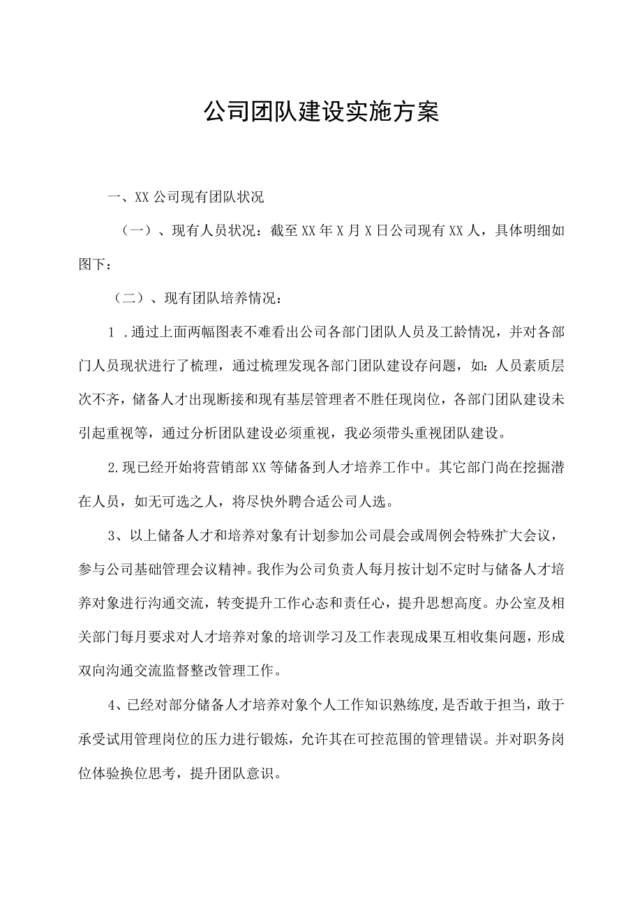 公司团队建设实施方案.docx_第1页