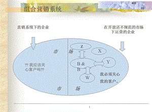 直销系统下的企业.ppt