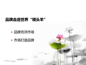 市场如何打造品牌.ppt